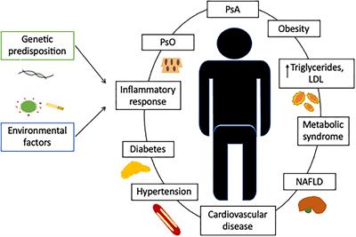 Update on Cardiovascular Risk and Obesity in Psoriatic Arthritis